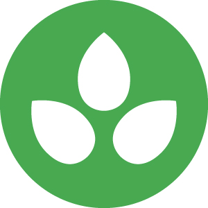 Bloom OS